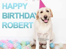 Happy Birthday Robert Memes Wishes And Quotes Find the best free stock images about happy birthday. happy birthday robert memes wishes