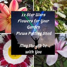 Poshmark makes shopping fun, affordable & easy! 12 Star Wars Flowers For Your Garden Design Inspiration Themed Gardens