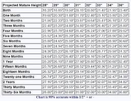 height chart for miniature horses a new book