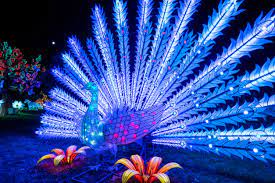 Wild Lights Sedgwick County Zoo