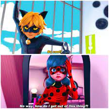 Miraculousladybug Quotes Miraclous Ladybug Miraculous Ladybug And Cat Noir Miraculous Heroes
