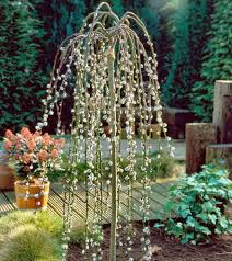 See more ideas about hibiscus tree, hibiscus, hibiscus plant. Weeping Pussy Willows For Sale Fastgrowingtrees Com
