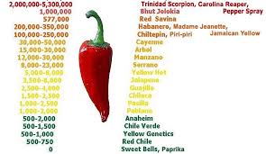 hot chile pepper guide complete list photos description