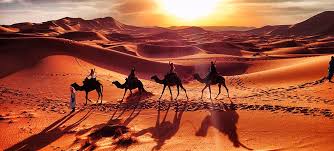 It is a journey well worth the effort and you will have fond memories to last you forever. Camel Trekking Excursions In Morocco Morocco Places