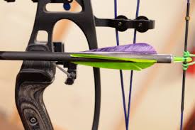 Guide To Compound Bow Arrow Rests Lancaster Archery Blog