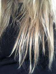 Does This Look Like Protein Overload My Hair Is Very Stringy And Separates If Im Not Constantly Brushing It Ive Used Coconu Hair Hair Health Long Hair Styles