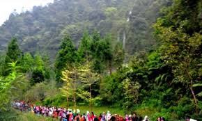 Cari info wisata di solo. Ada Berapa Air Terjun Di Magetan Info Magetan