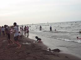 Batang, kabupaten batang, jawa tengah 51216, indonesia. Tempat Wisata Pantai Sigandu Dengan Batang Dolphins Center Di Batang