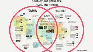 Compare And Contrast Taiga And Tundra By Navjot Khaira On Prezi