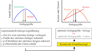 Der biologische fitnessbegriff hat … Verhalten Evolution Und Life Histories Springerlink