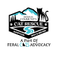 Operation: Cat Adoption — Rogue Community Cat Re... event in Central Point, OR