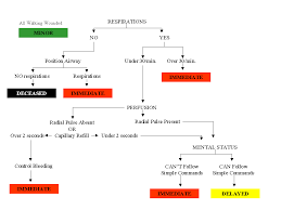 Start Triage Flowchart