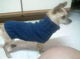 Free Super Easy Chihuahua Knit Sweater Pattern Dog Sweater Pattern Dog Sweaters Knitted Dog Sweater Pattern