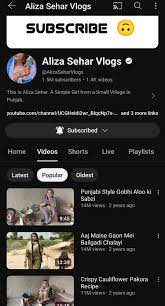 Pakistani Maal on X: Lo ji famous youtuber aliza sehar leak bhi aagayi  market men retweet kiye bina koyi inbox na aae #alizasehar #alizaseharleak  t.cog9JZazLj1D  X