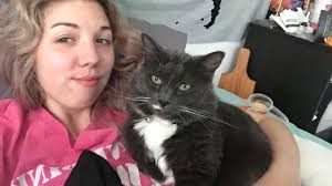 Lost cat Wren in Binghamton, NY