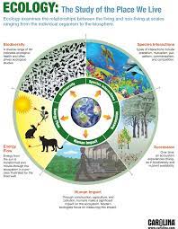 Infographic Ecology The Study Of The Place We Live Teaching Ecology Environmental Science Ecology