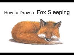 Now we can add the outline of the head. How To Draw A Fox Sleeping Youtube