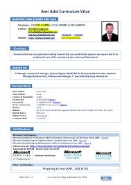 Resume Format Chartered Accountant Articleship