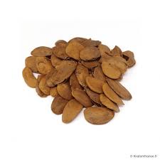 Image result for Picralima nitida