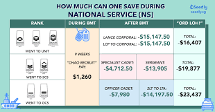 How Much Of Your Ns Allowance Can You Save During National