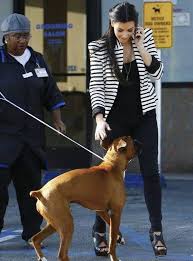 99 wow why dogs like to sniff crotches specially women s لماذا تحب الكلاب شم المناطق الحساسة وبالذات للنساء