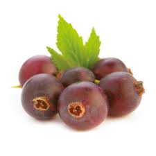 Image result for jostaberry