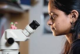 Feature: Raising the Bar