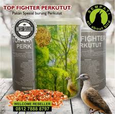 Experts believe each coin could be worth up to £650, putting the value of the hoard. Top Fighter Perkutut Sempati Pakan Burung Juara Lomba Rajin Bunyi Crhkob Lazada Indonesia