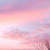 Aesthetic landscape egirl aesthetic aesthetic pink sunset wallpaper. Https Encrypted Tbn0 Gstatic Com Images Q Tbn And9gcrhyucg90f7kn Ox9ul7nzpzviwiv0sdxkzmkvdfo6yutfmmm0z Usqp Cau
