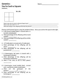 The subreddit about spongebob squarepants. Punnett Square Practice Distance Learning By Getting Nerdy With Mel And Gerdy