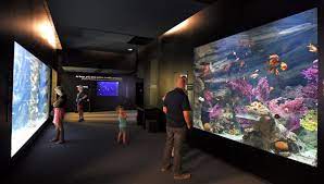 Le port, établi dans la partie est de la baie de banyuls sur mer, est la dernière escale avant l'espagne. La Relance Eco A Banyuls Sur Mer Les Poissons Du Biodiversarium Ont A Nouveau De La Visite