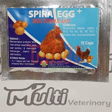Pemberian pakan ayam campuran, ini akan membantu ayam untuk lebih cepat bertelur. Spira Egg 10 Caps Obat Mempercepat Produksi Telur Pada Unggas Ayam Bebek Egg Stimulant Shopee Indonesia