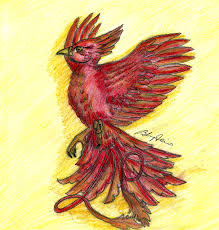 Four stunning spells straight to the chest at her age? Fawkes The Phoenix Harry Potter By Brenda Amancio On Deviantart