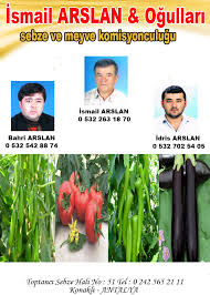 Ismail Arslan Ogullari Hal Katalogu