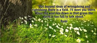 Out Beyond Ideas Of Wrongdoing And Rumi Rumi Quotes Facebook