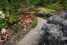 Check out the 14 in. How To Landscape With Pavers Lawnstarter