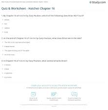 Quiz Worksheet Hatchet Chapter 16 Study Com