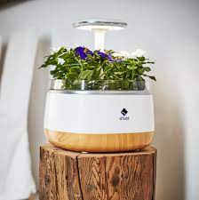 Splant Smart Fresh Herb Garden Kit Intelligent Indoor Sprout Led Light Garden Four Flower Pot With App Remote Control Self Watering Technology Fresh Herbs Garden Herb Garden Kit Flower Pots
