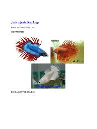 Dengan menciptakan arus buatan yang dapat merangsang gerakan berenang. Assignment Ikan Laga Docx