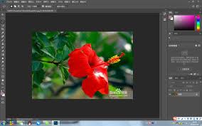 See full list on photomarksapp.com Adobe Photoshop Cc 2018 To Quickly Remove Watermark Programmer Sought