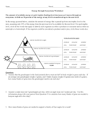 Slugs, rabbits 3 look at this food web. Energy Through An Ecosystem Worksheet