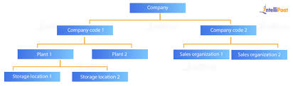 Sap Pp Tutorial Learn Sap Pp From Experts Intellipaat