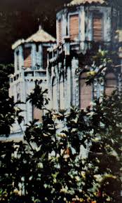 Newly paved road in Fagaalu, 1960.