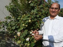 In a permaculture garden, each plant has a specific purpose. Uae How You Can Grow Your Garden For Free Uae Gulf News