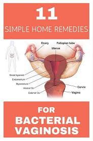 Home Remedies For Bacterial Vaginosis How To Get Rid Of Bacterial Vaginosis Bacterial Vaginosis Bacterial Vaginosis Remedies Bacterial Vaginosis Treatment