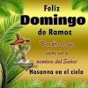 En el domingo de ramos se recuerda la entrada triunfal de jesús a jerusalén, donde fue recibido y aclamado con palmas de olivo, por eso se trata de un día de alegría, ya que la gente estaba entusiasmada y alegre porque sentía que el mesías llegaba y que la salvación estaba muy cerca. Https Encrypted Tbn0 Gstatic Com Images Q Tbn And9gcq3z1npggomtlzr Hoqbuhfz5mvhwx1er5cli4r0fs Usqp Cau