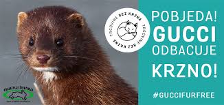 Dobrý film, knihu, hudobné predstavenie? Virovitica Net Gucci Odbacuje Krzno