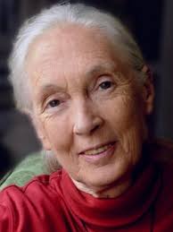 Chaque citation est triée sur le volet, qu'elle soit drôle, triste ou philosophique. Anthropologues Celebres Scientifiques