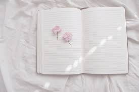 Image Result For White Aesthetic Pale Aesthetic White Aesthetic Pink Aesthetic
