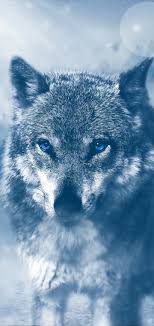 So good you'll howl at the moon. Wolf 4k Wallpaper 54